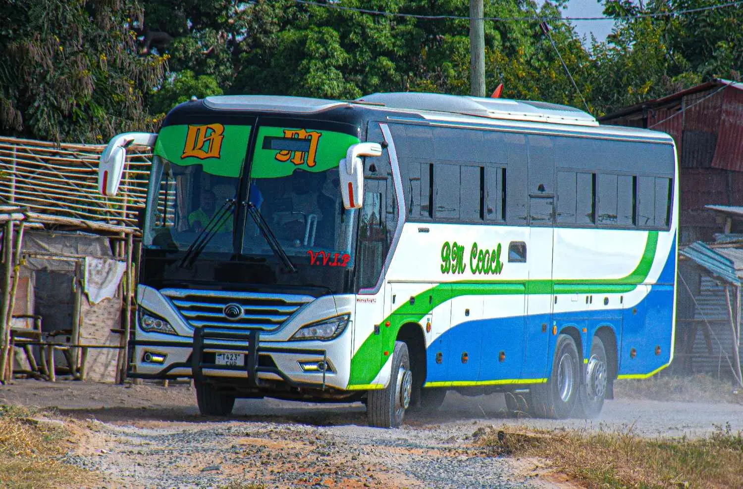 BM COACH cover